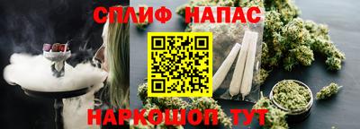гидра Тулун