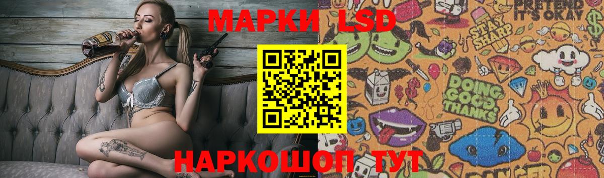 ЛСД экстази  ЛСД экстази кислота  Вход с VPN  Бердск 